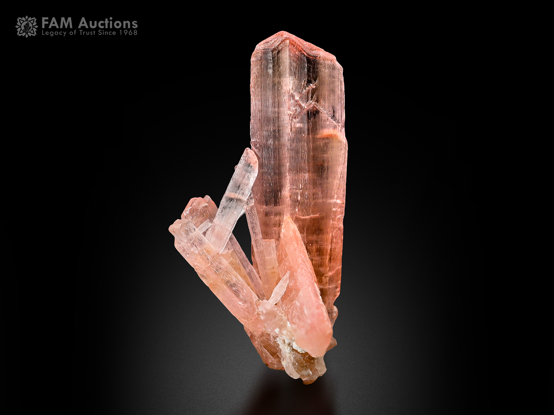 Pink Vayrynenite Crystal Cluster Pakistan Elongated pink vayrynenite crystal cluster from Shengus, Gilgit-Baltistan, Pakistan