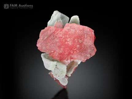 Pink Rhodochrosite crystal group with white Albite from Goand Mine, Pakistan.