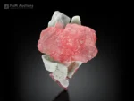 Pink Rhodochrosite crystal group with white Albite from Goand Mine, Pakistan.