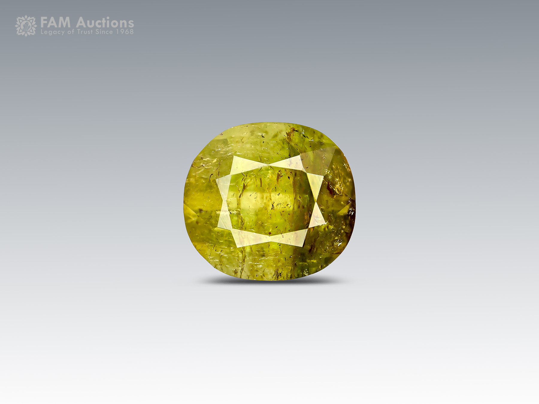 2.35 Carat Tourmaline Tourmaline 2.35 carat cushion cut tourmaline from Pakistan with green and honey tones, broad facets, and natural inclusions