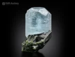 Aquamarine crystal resting on dark striated tourmaline specimen.