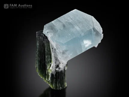 Aquamarine crystal resting on dark striated tourmaline specimen.