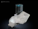 Blue cap Tourmaline crystal with a dark prismatic body and attractive blue termination, beautifully positioned on lustrous white Quartz from Stak Nala, Pakistan.