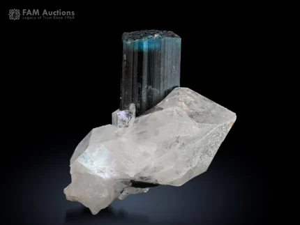 Blue cap Tourmaline crystal with a dark prismatic body and attractive blue termination, beautifully positioned on lustrous white Quartz from Stak Nala, Pakistan.