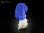 Rich deep blue lazurite crystal perched on bright white matrix with strong contrast and attractive natural form.