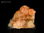 Cluster of lustrous honey-orange hessonite garnet crystals with sharp faces and delicate green mica associations from Pakistan.