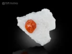 Vivid mandarin-orange spessartine garnet crystal with sharp, lustrous faces beautifully positioned on a contrasting white matrix from Pakistan.