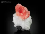 Rich pink rhodochrosite crystal with snowy white cleavelandite and contrasting black schorl.