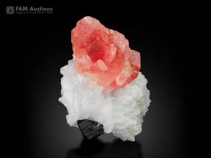 Rich pink rhodochrosite crystal with snowy white cleavelandite and contrasting black schorl.