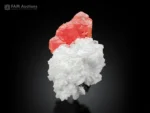 Rich pink rhodochrosite crystal with snowy white cleavelandite and contrasting black schorl.