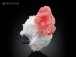 Rich pink rhodochrosite crystal with snowy white cleavelandite and contrasting black schorl.