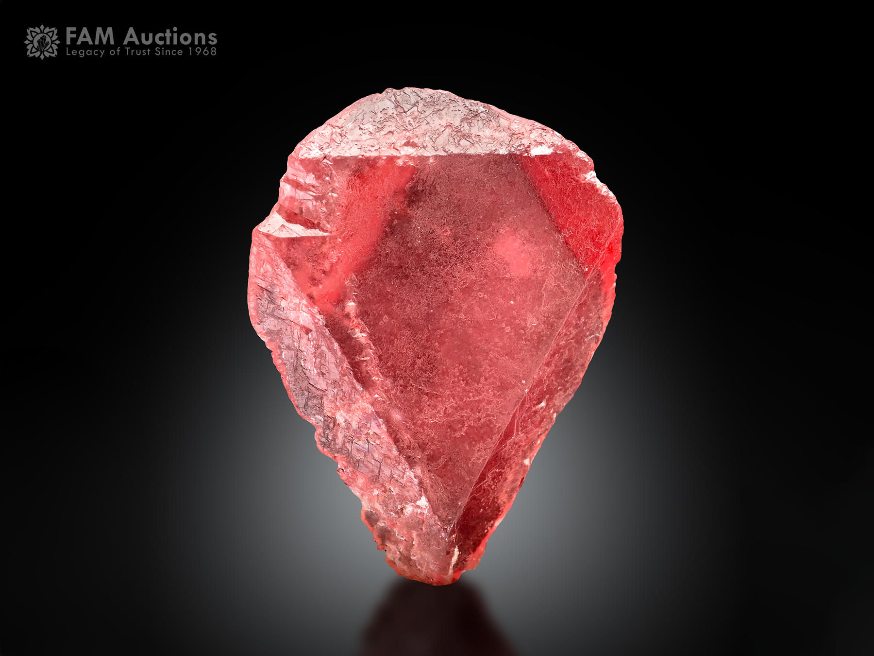 Rhodochrosite Crystal RDC-50 Vivid hot-red rhodochrosite crystal with an elegant shape, sharp edges, a well-defined termination, a gemmy appearance, and brilliant natural luster.
