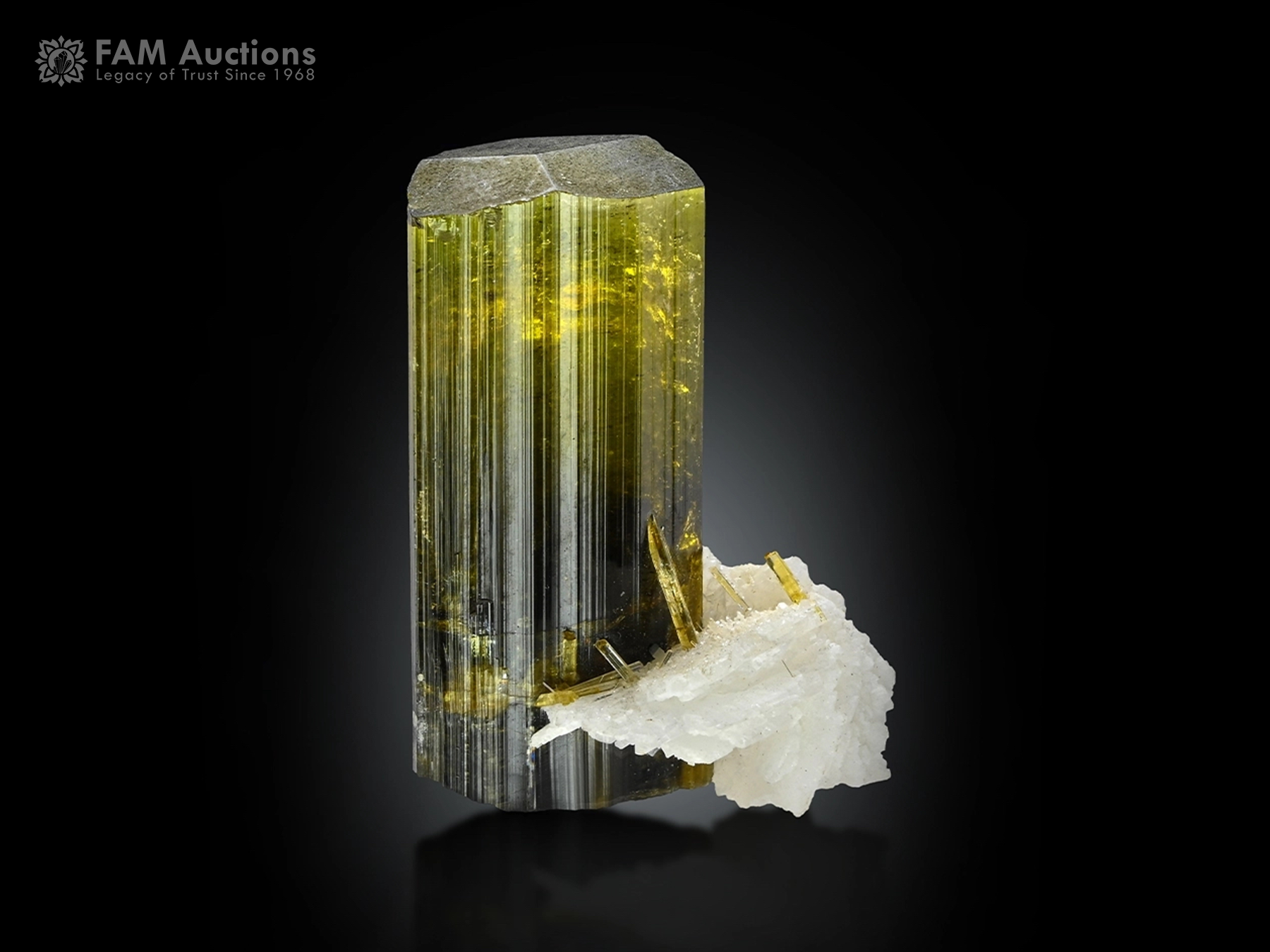 Tourmaline Crystal Albite TRML-497 Beautiful green tourmaline crystal with dark color zoning, sharp termination, prominent vertical striations, and contrasting white albite crystals.