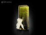 Beautiful green tourmaline crystal with dark color zoning, sharp termination, prominent vertical striations, and contrasting white albite crystals.